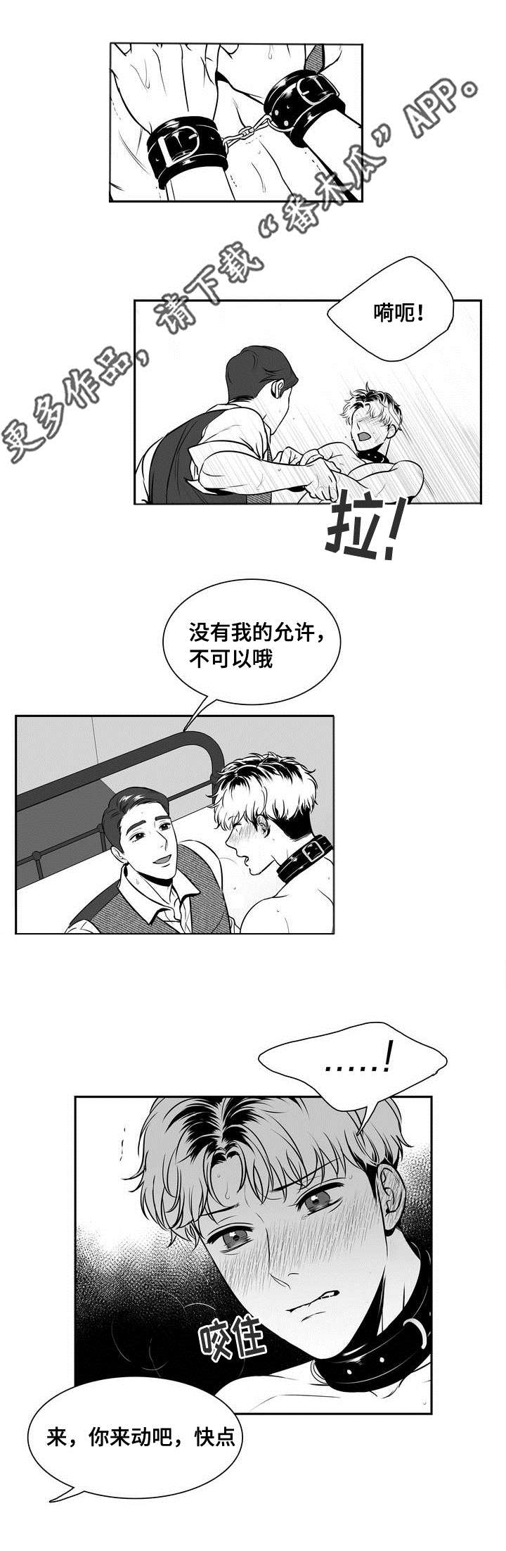 第139章：相约周五5