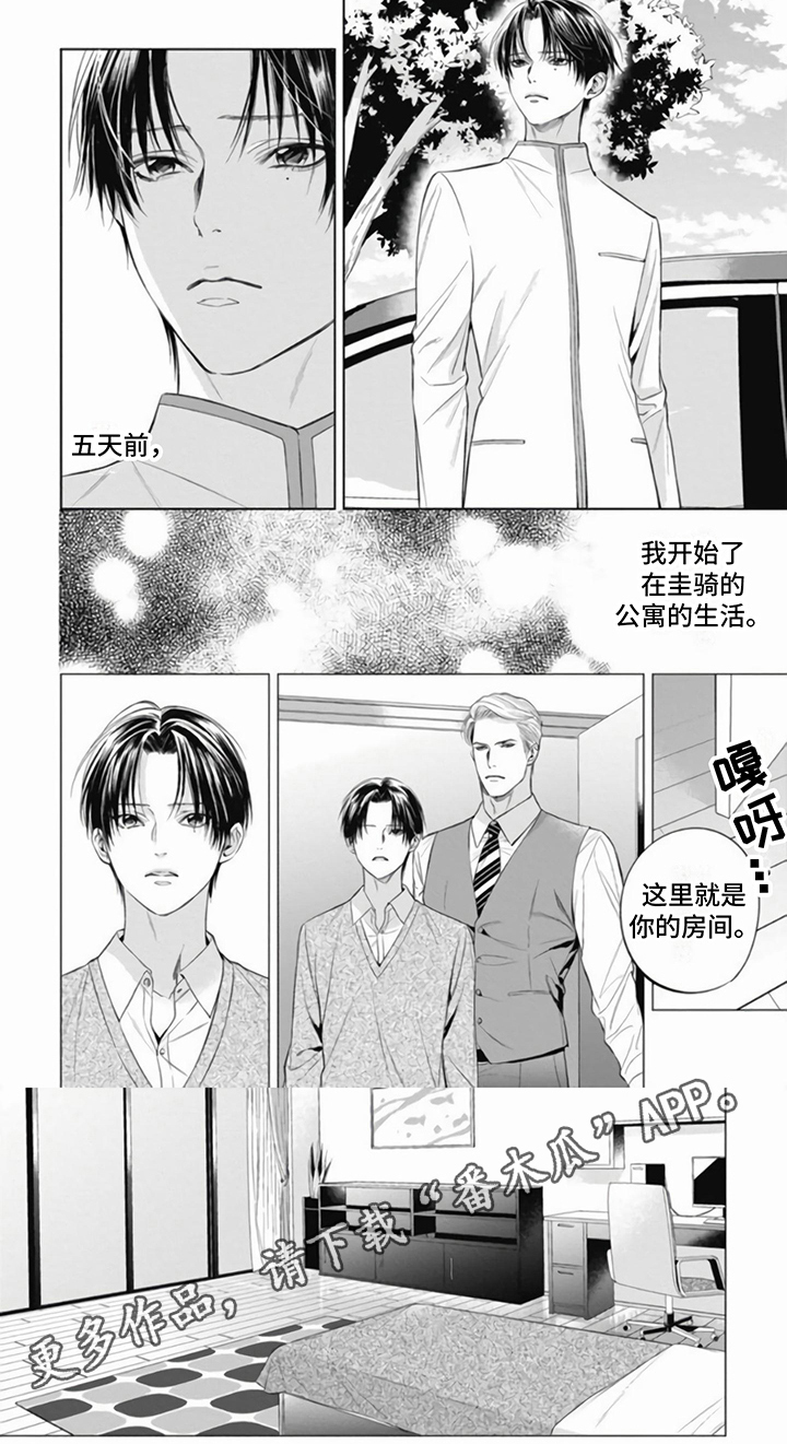 第9章：同意5