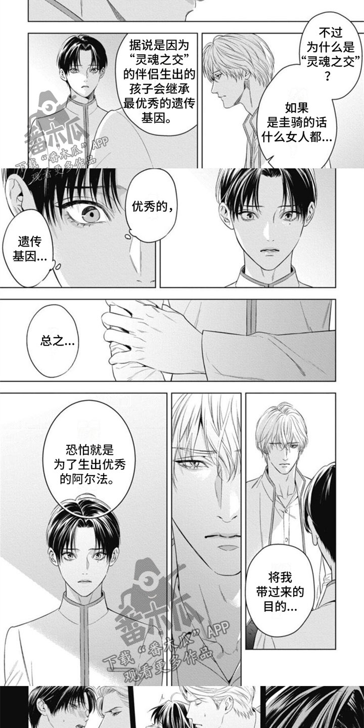 第33章：被利用5