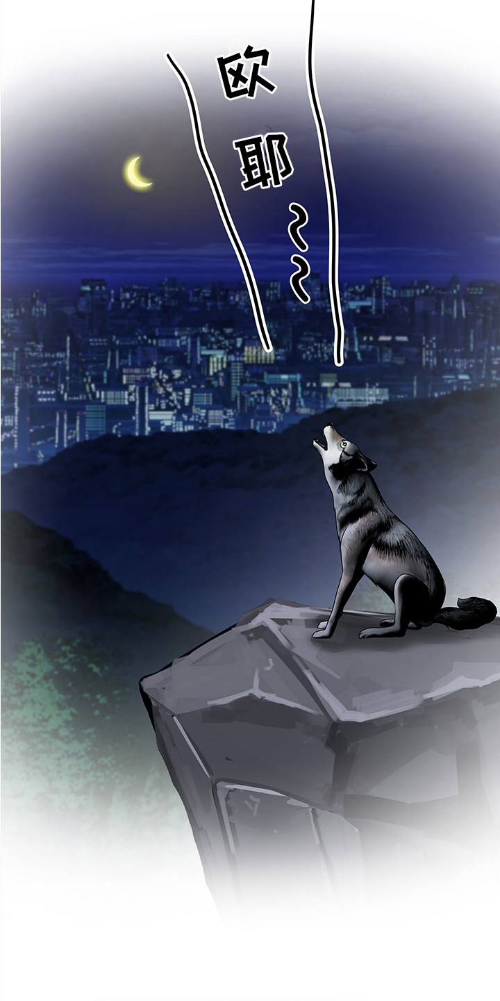 第13章：专心工作8