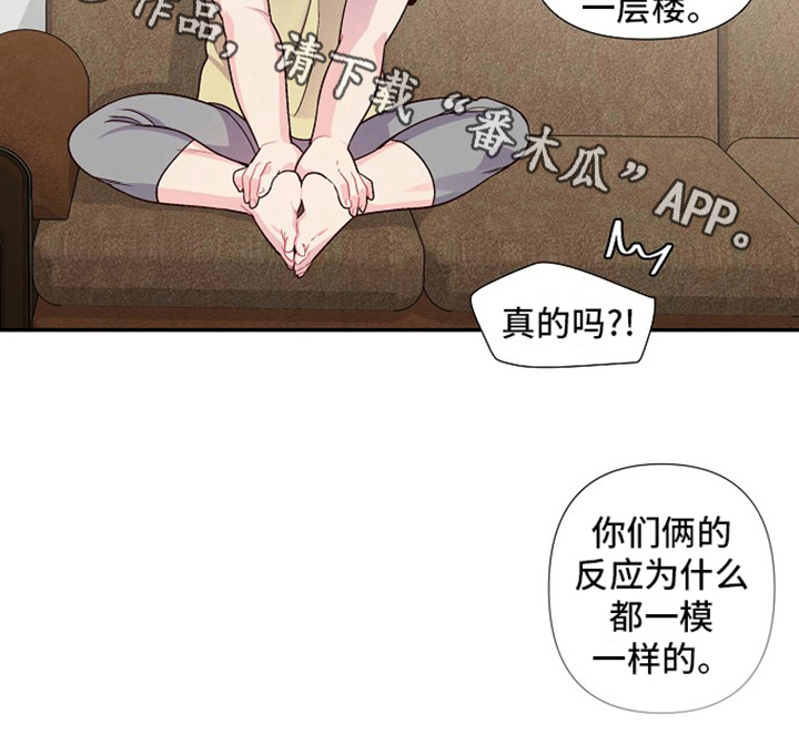 第5章：印象19