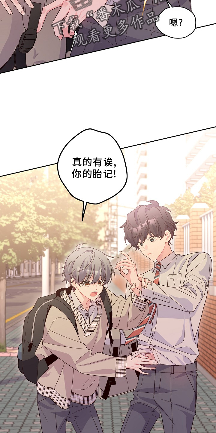 第41章：胎记17