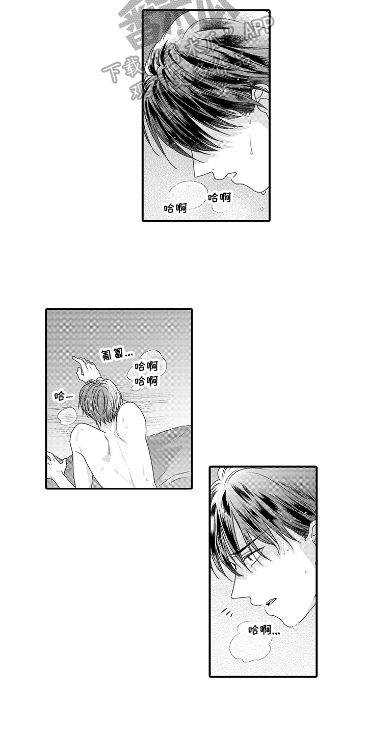 第13章：不满6