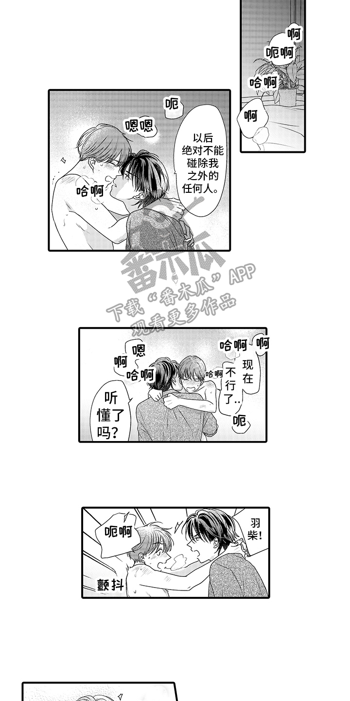 第17章：表白11