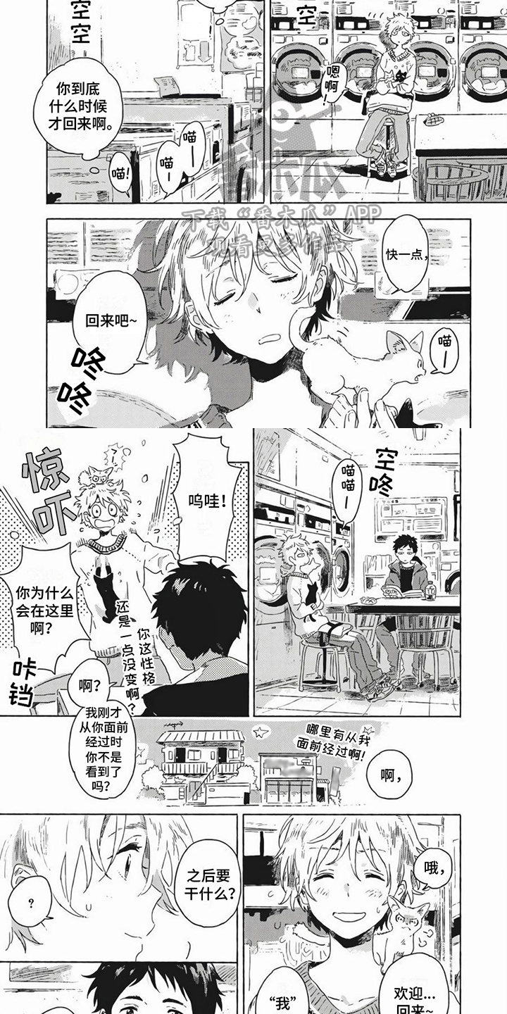 第21章：打算1