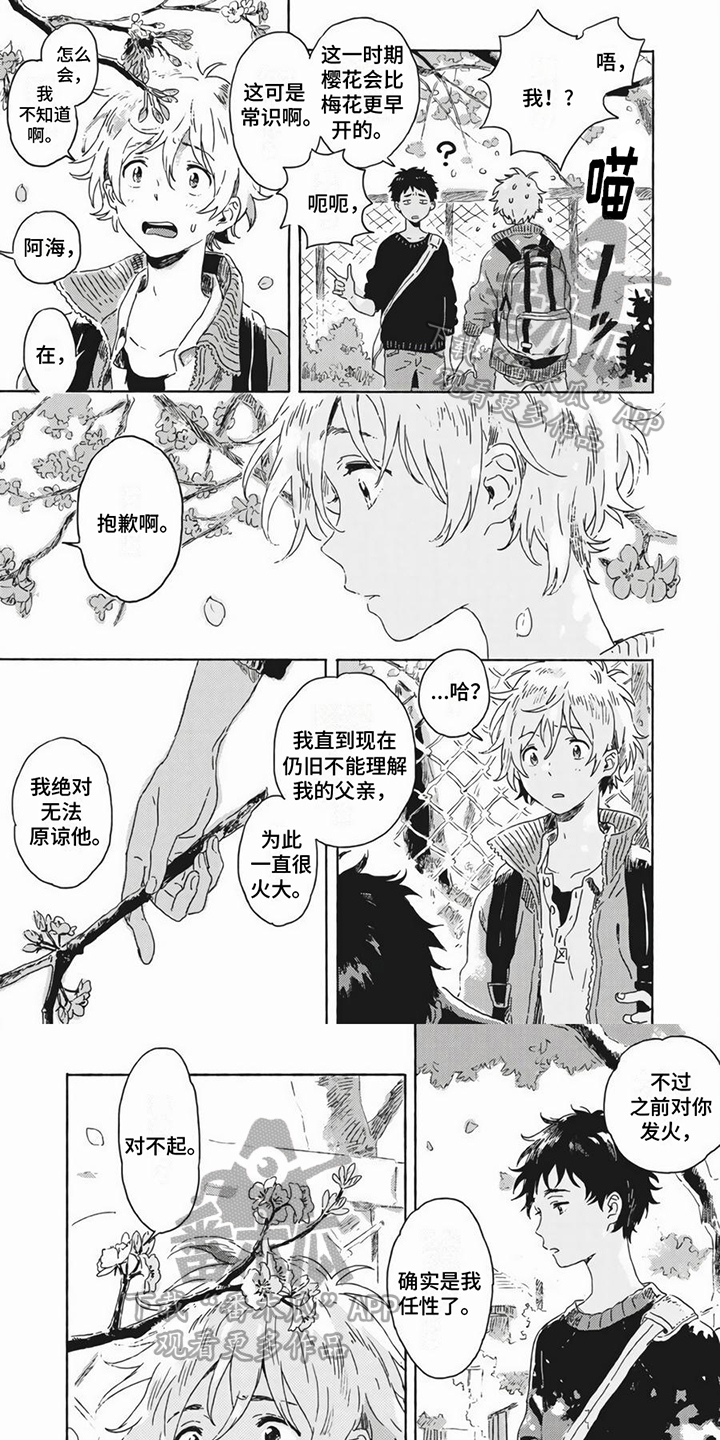 第19章：养猫0