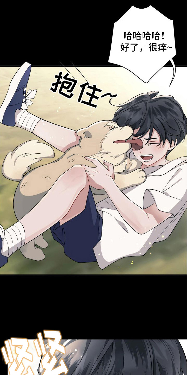 第6章：都是幻象2