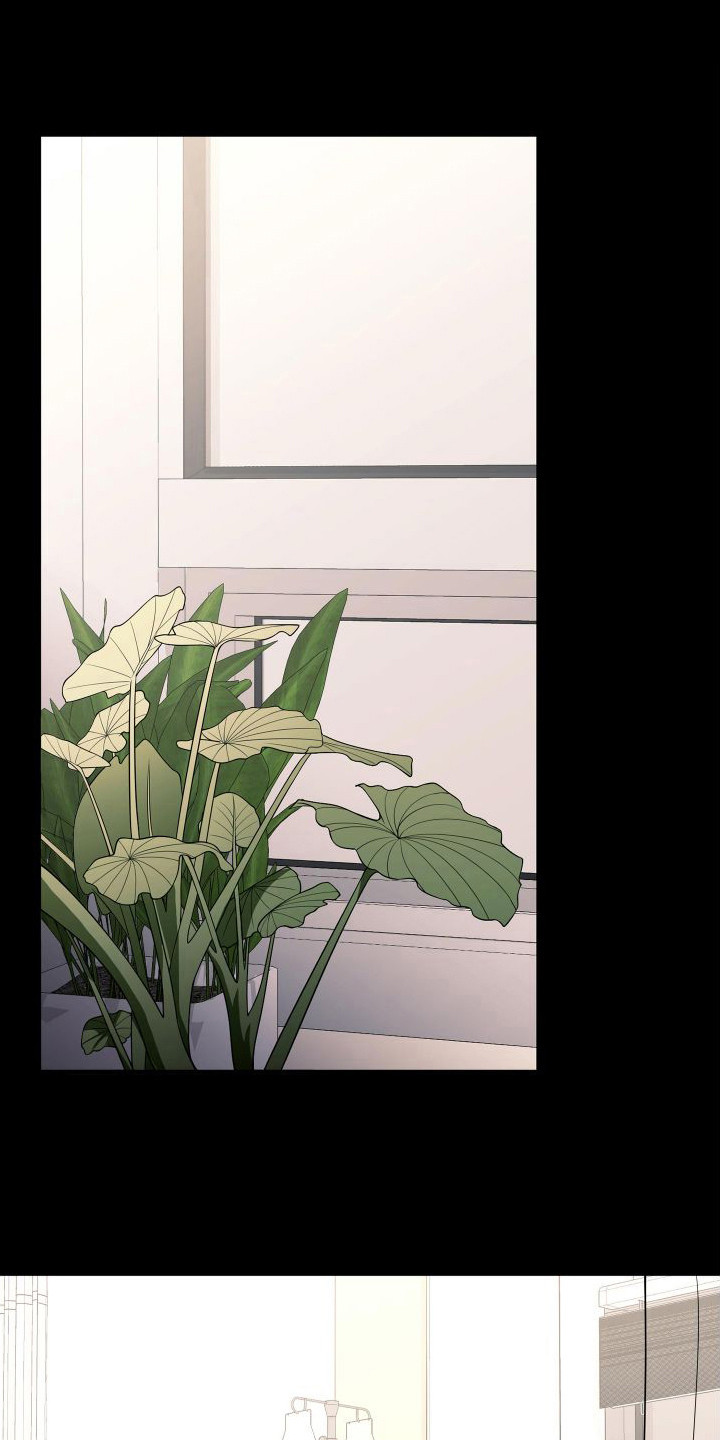 第14章：检查伤口0