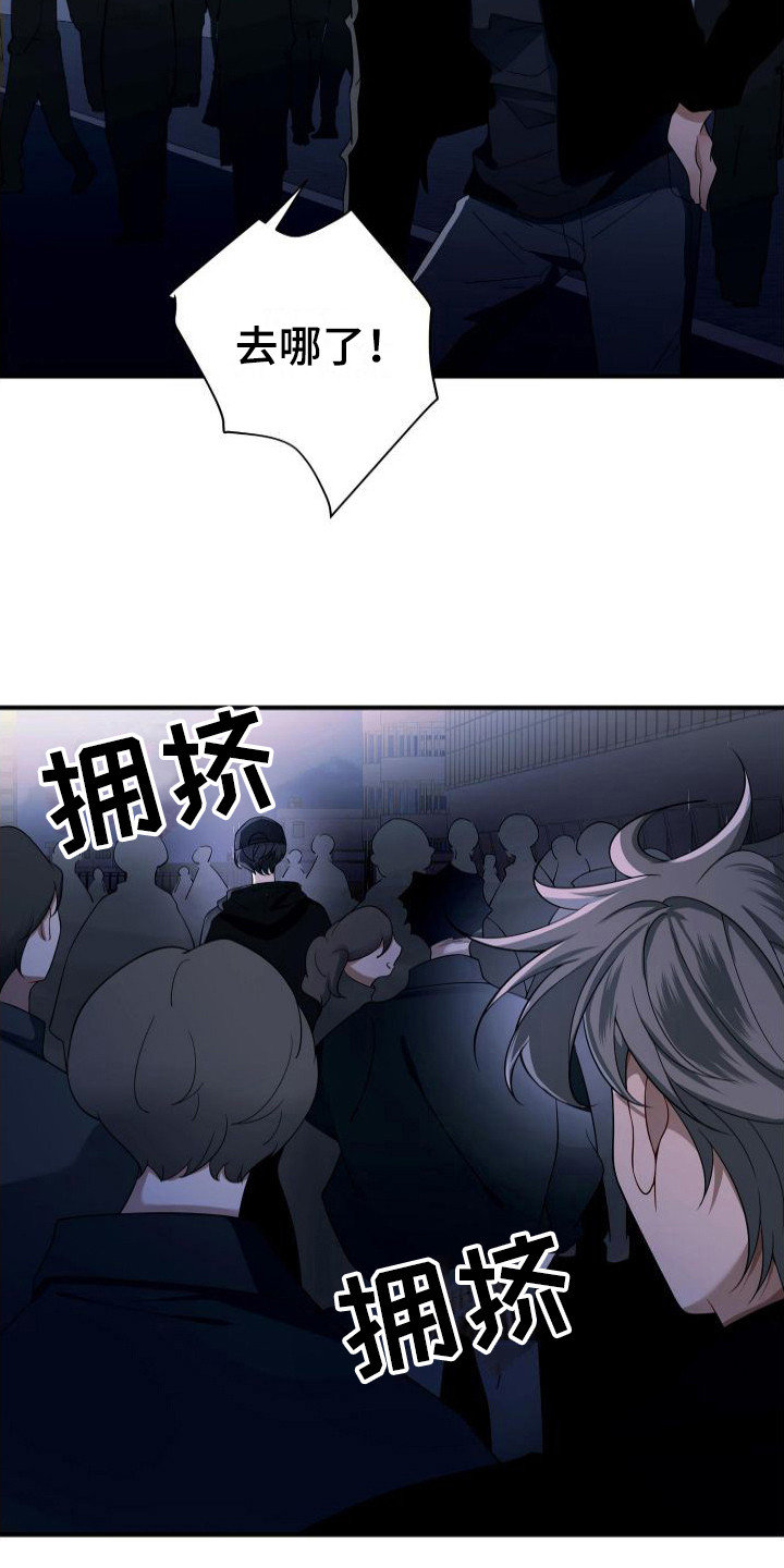 第23章：伴侣6