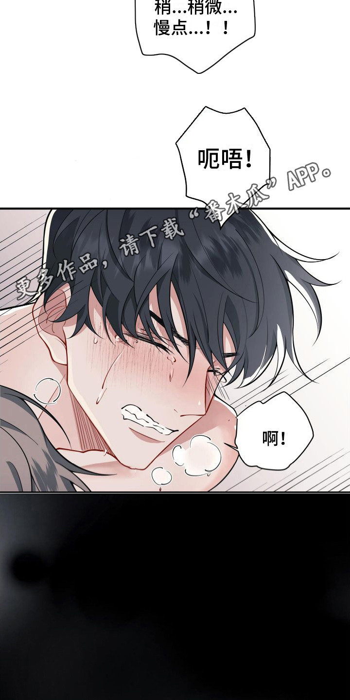 第5章：不回答11