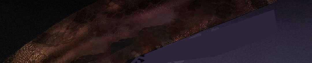 第77话18