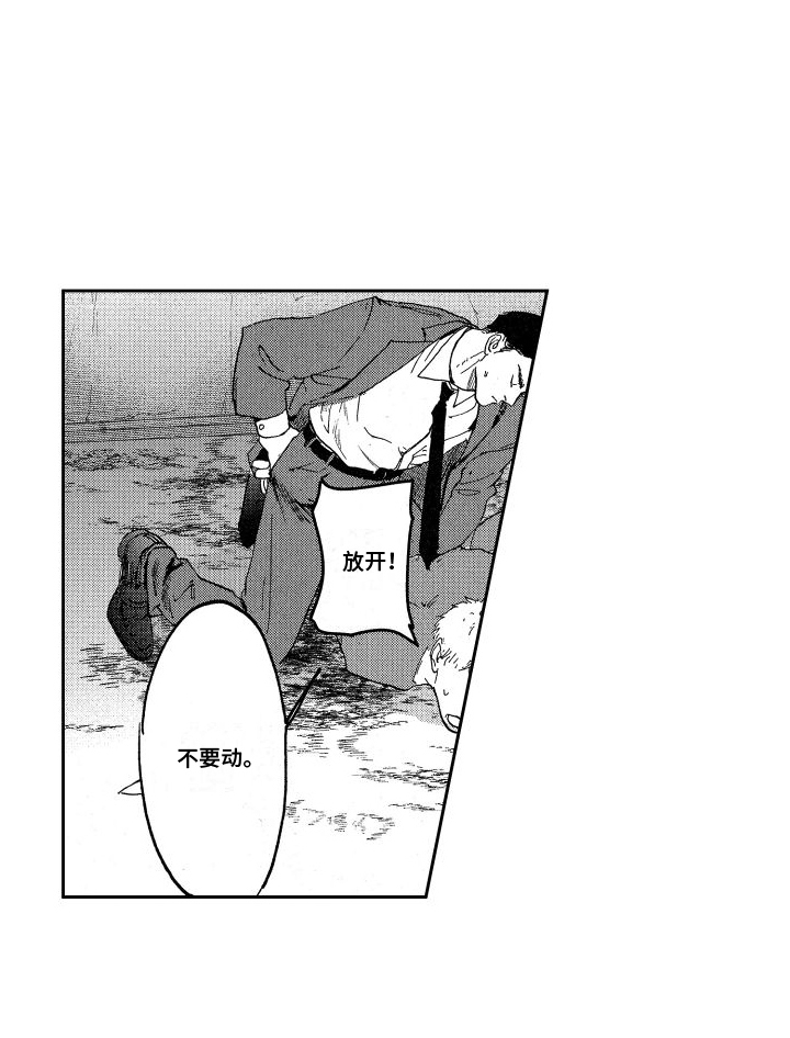 第1章：抓捕16