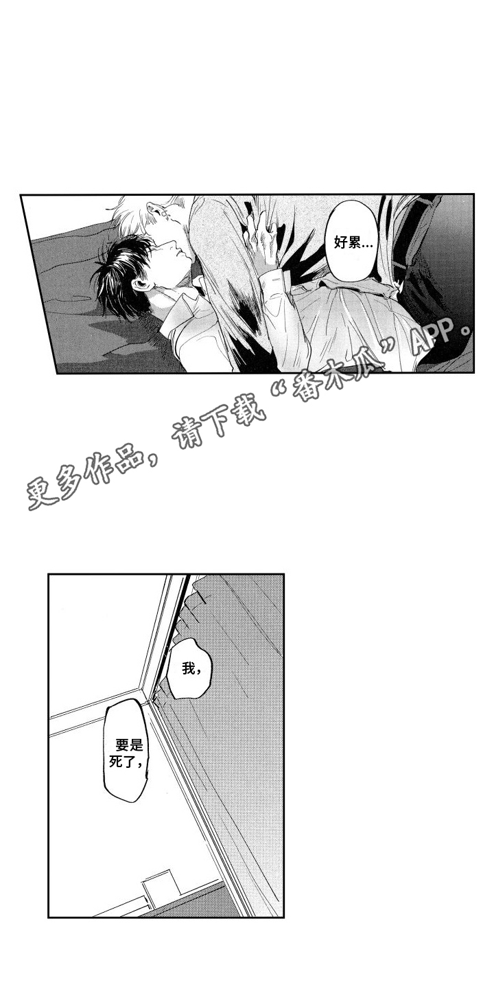 第18章：钓鱼执法10
