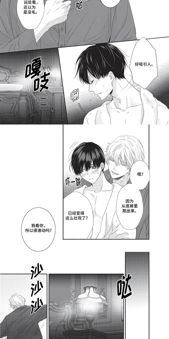 第3章：圈套3