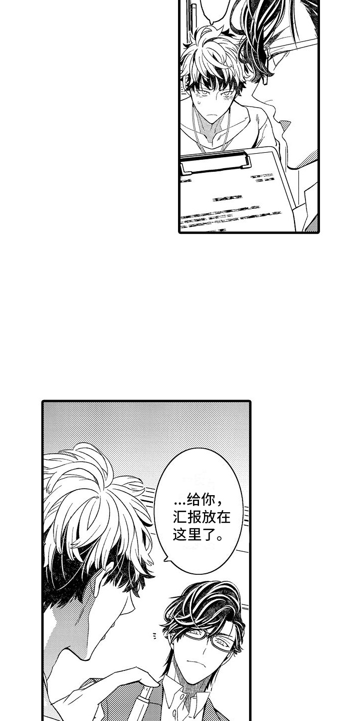 第13章：寻找弱点15