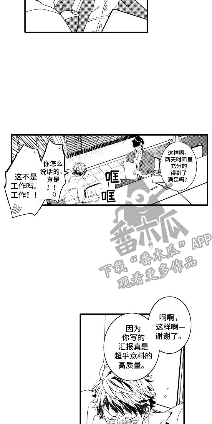 第13章：寻找弱点16