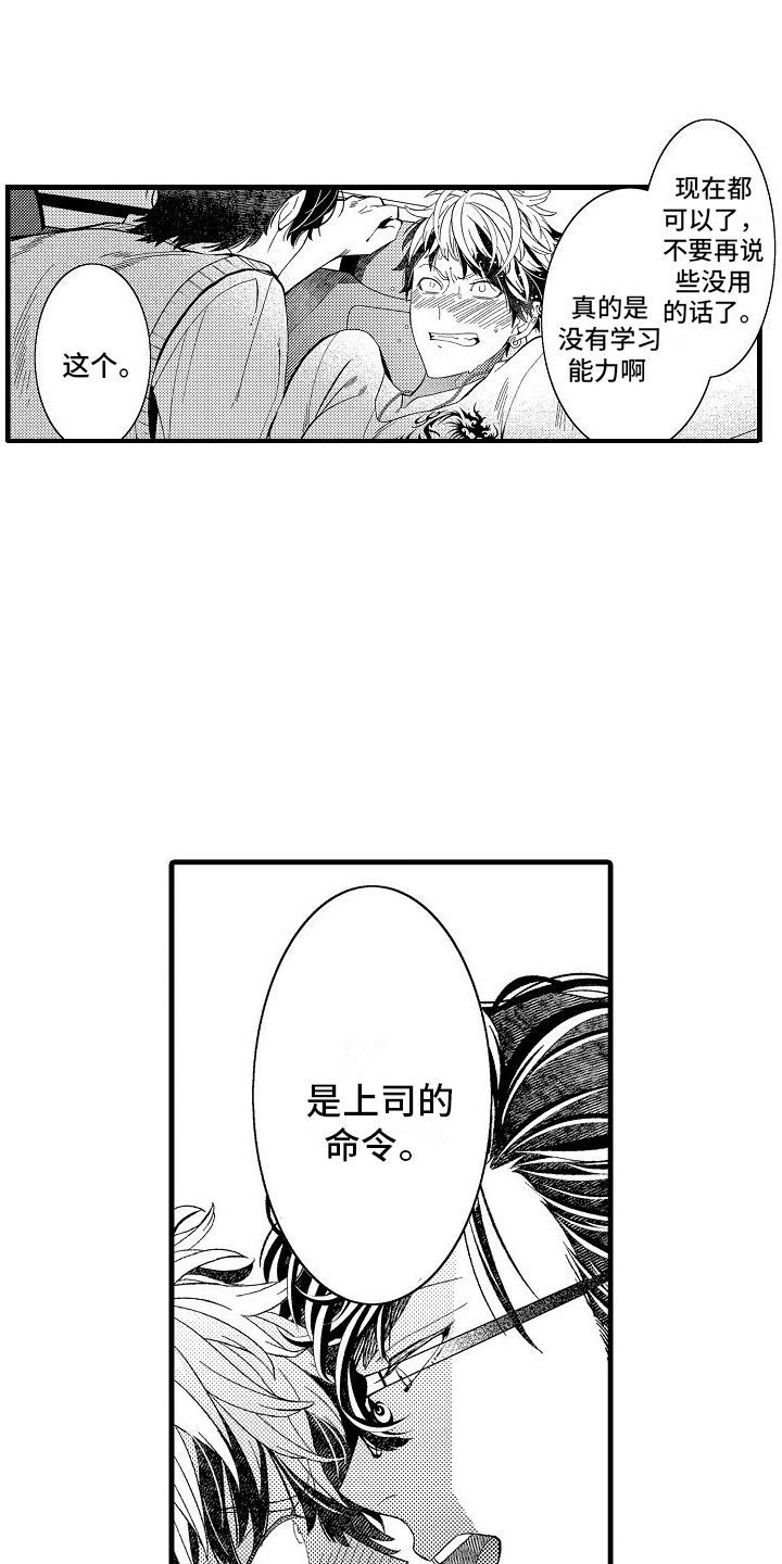 第7章：命令11