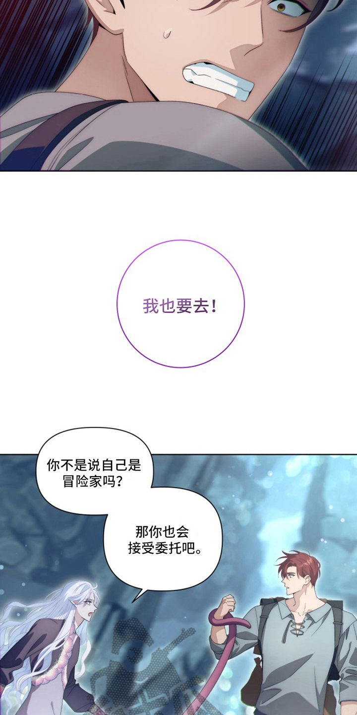 第27章：最美丽的宝物：委托11