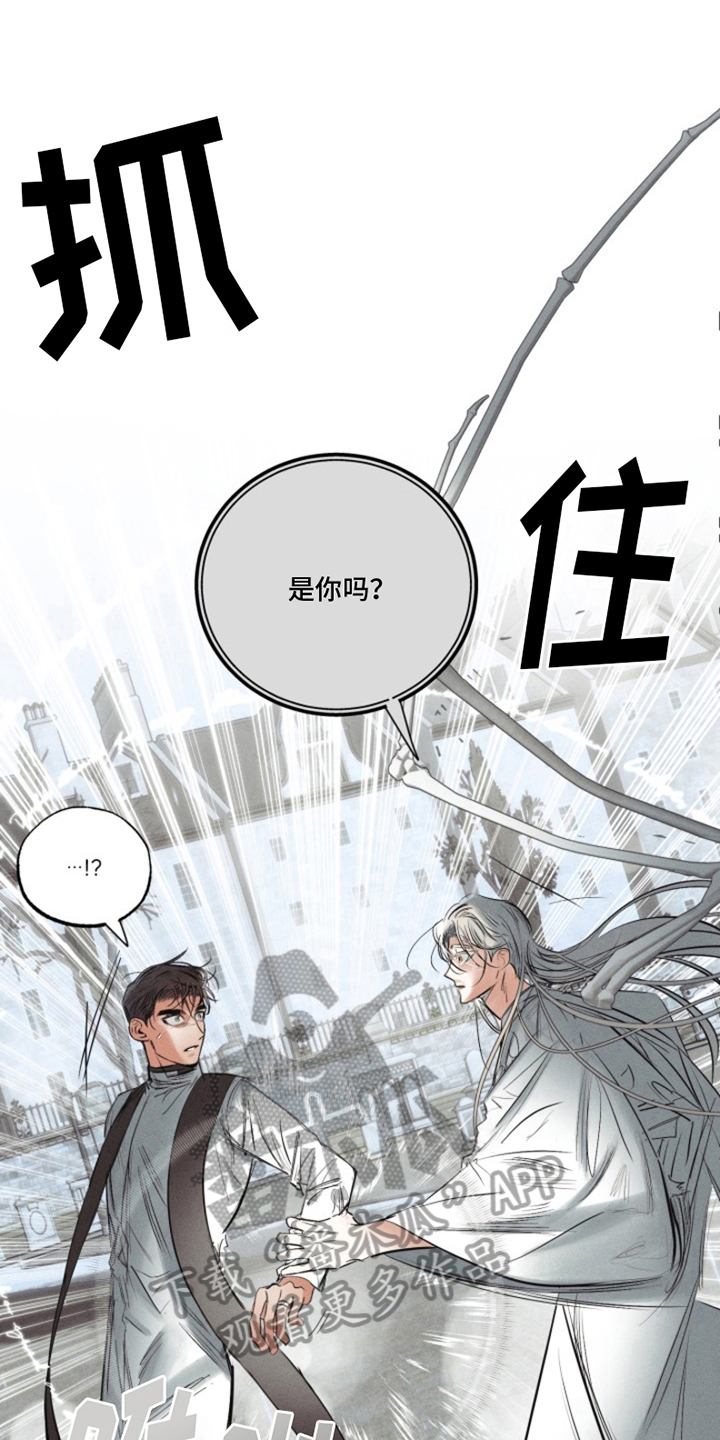 第18章：我爱的天使：带出记忆10