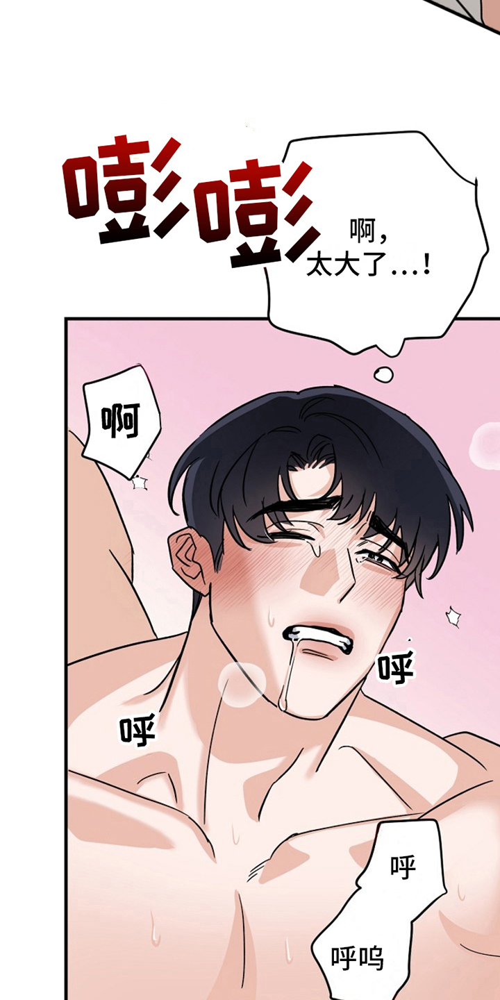 第15章：变化人生：很有趣19