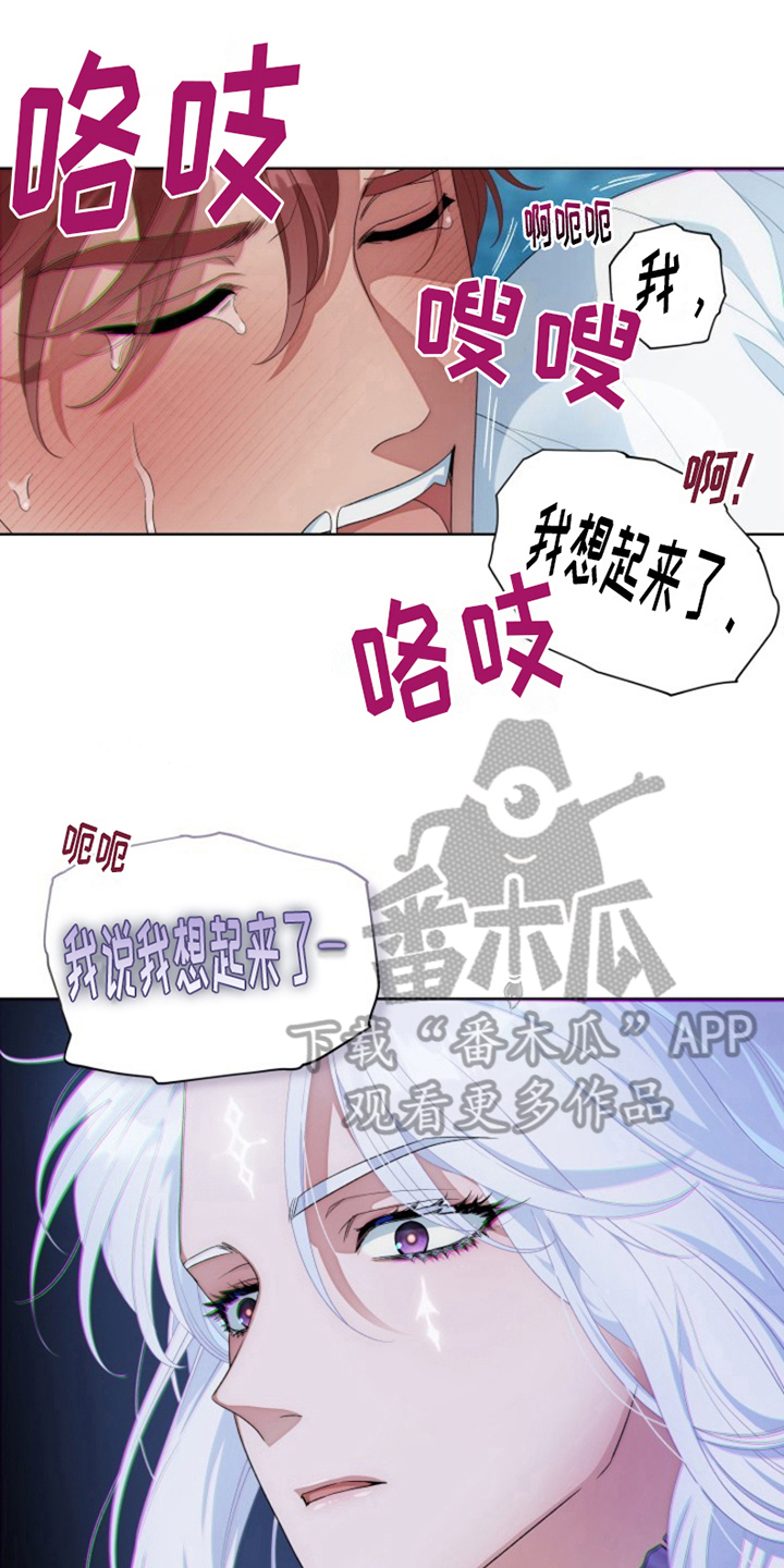 第26章：最美丽的宝物：身份0