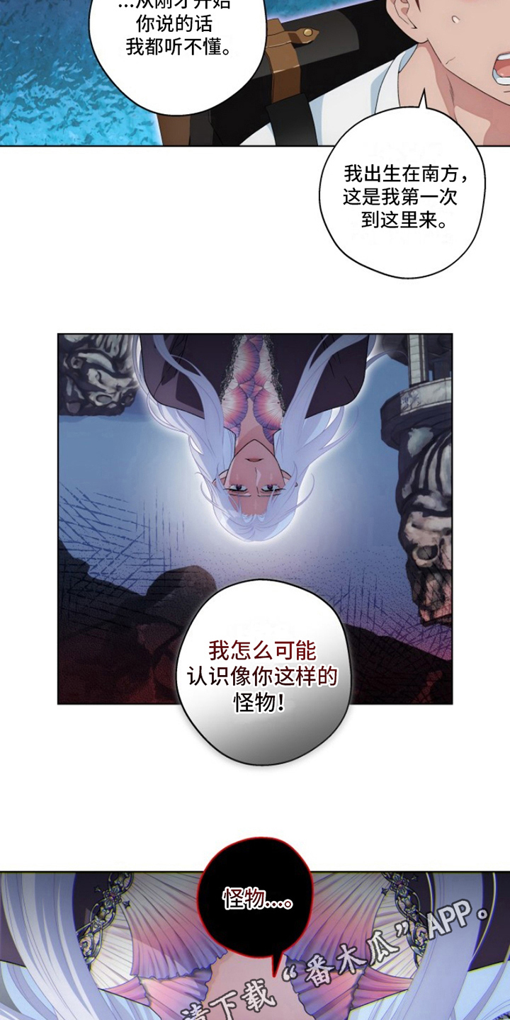 第24章：最美丽的宝物：冒险18