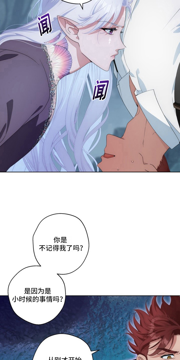 第24章：最美丽的宝物：冒险17