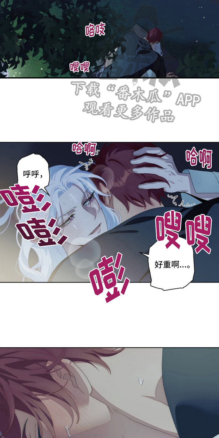第29章：最美丽的宝物：不许走16