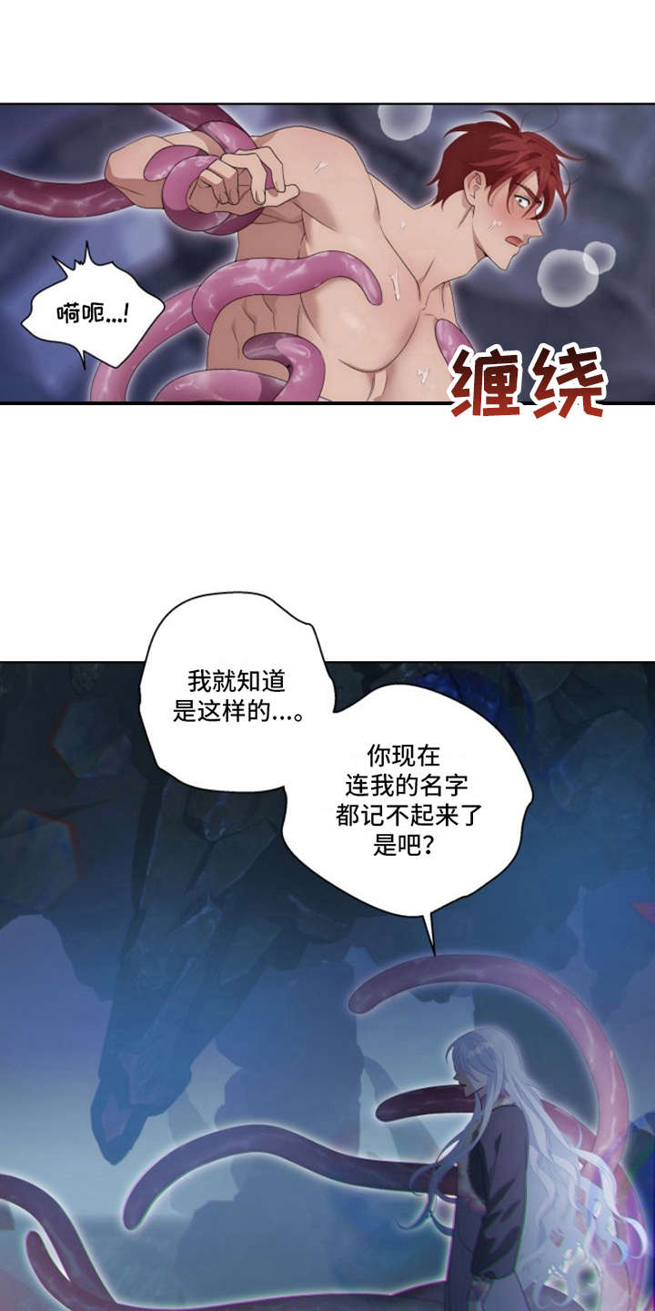 第26章：最美丽的宝物：身份4