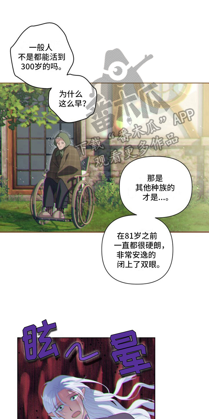 第27章：最美丽的宝物：委托0
