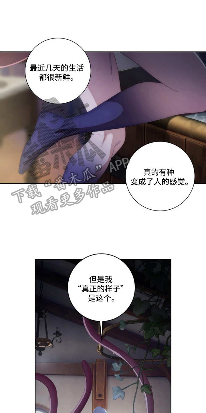 第28章：最美丽的宝物：人生信条15
