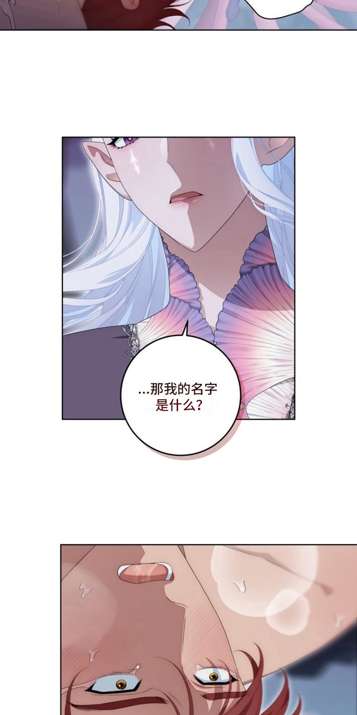 第26章：最美丽的宝物：身份2