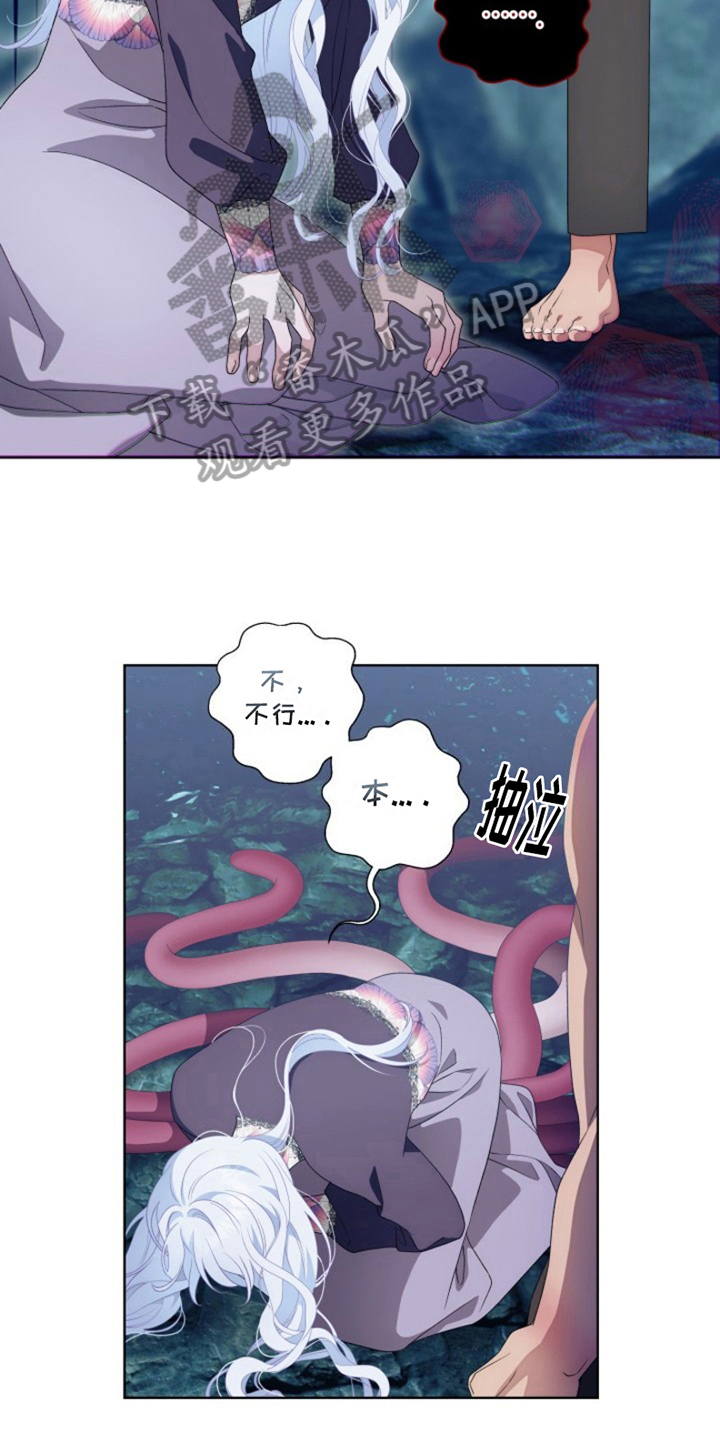 第27章：最美丽的宝物：委托2