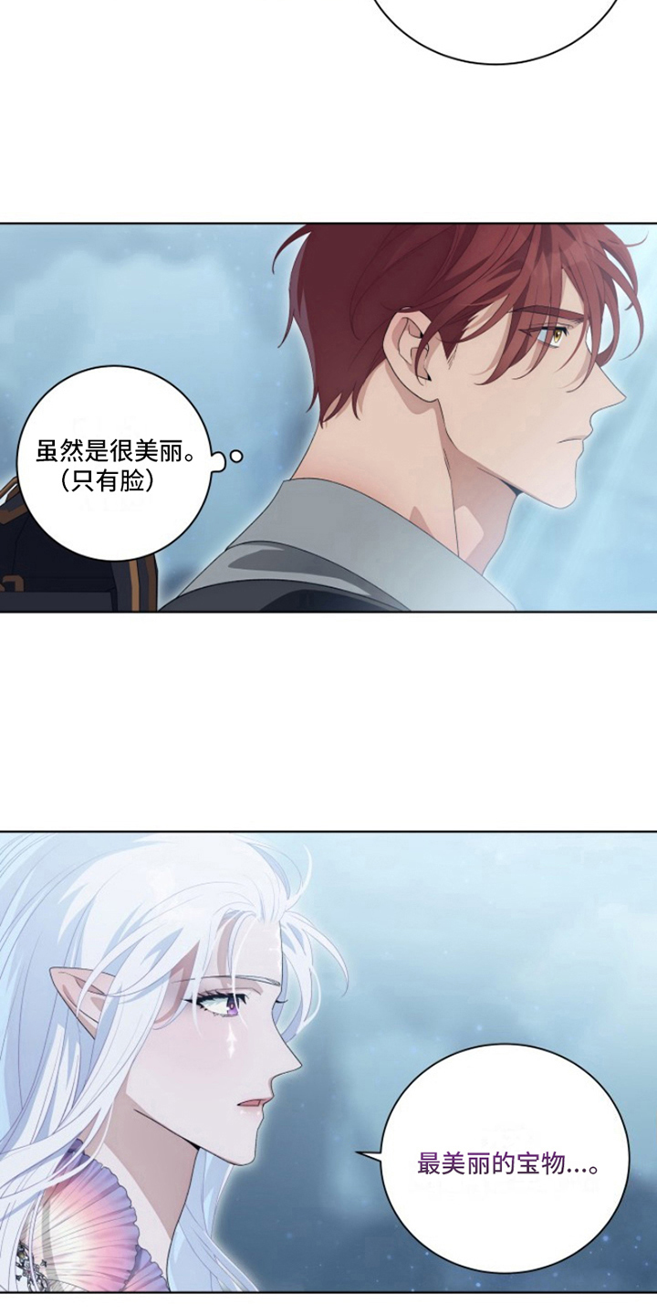 第27章：最美丽的宝物：委托7