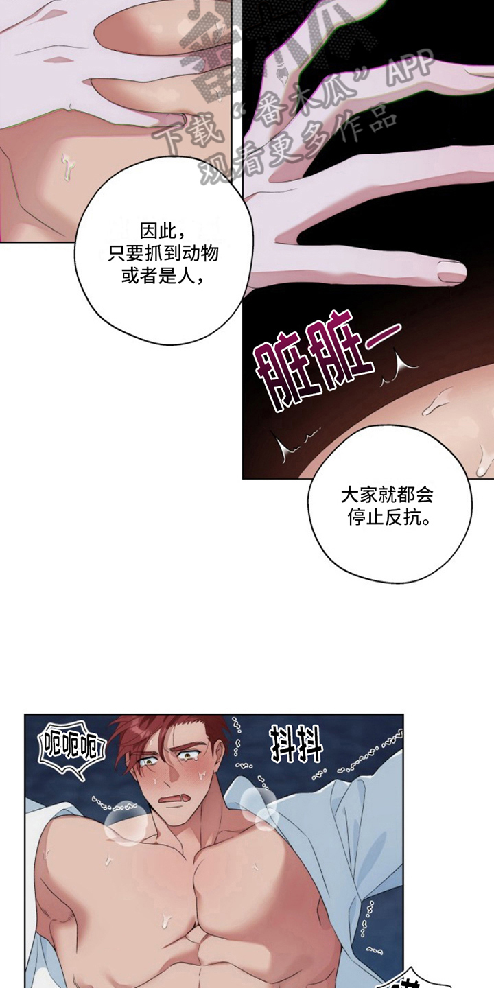 第25章：最美丽的宝物：让你记起来15
