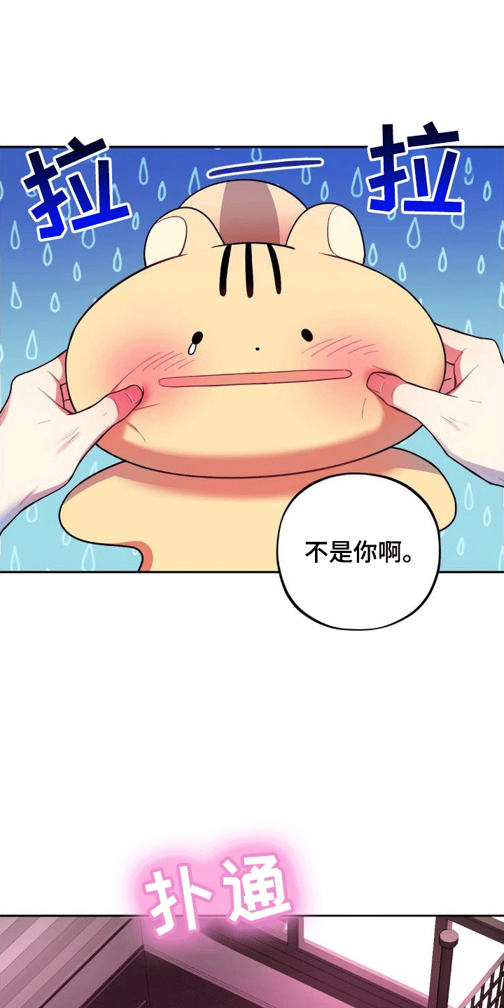第6章：任务奖励30