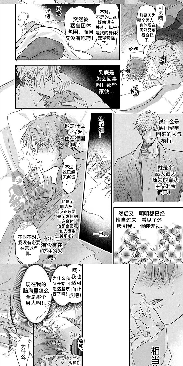 第6章：观察1