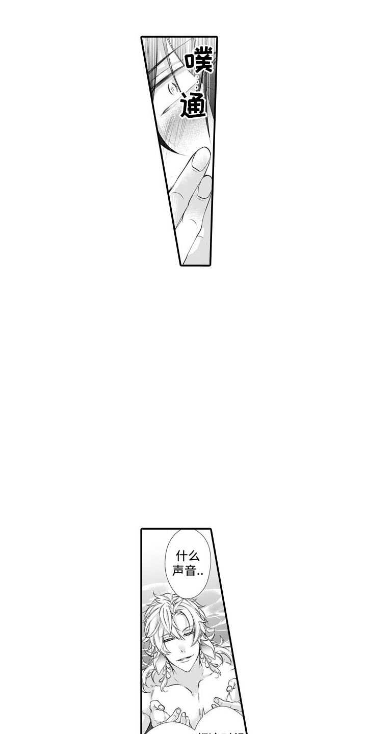 第3章：另一个路易13