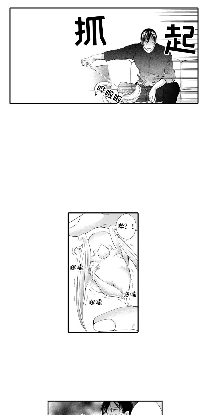 第7章：转化3