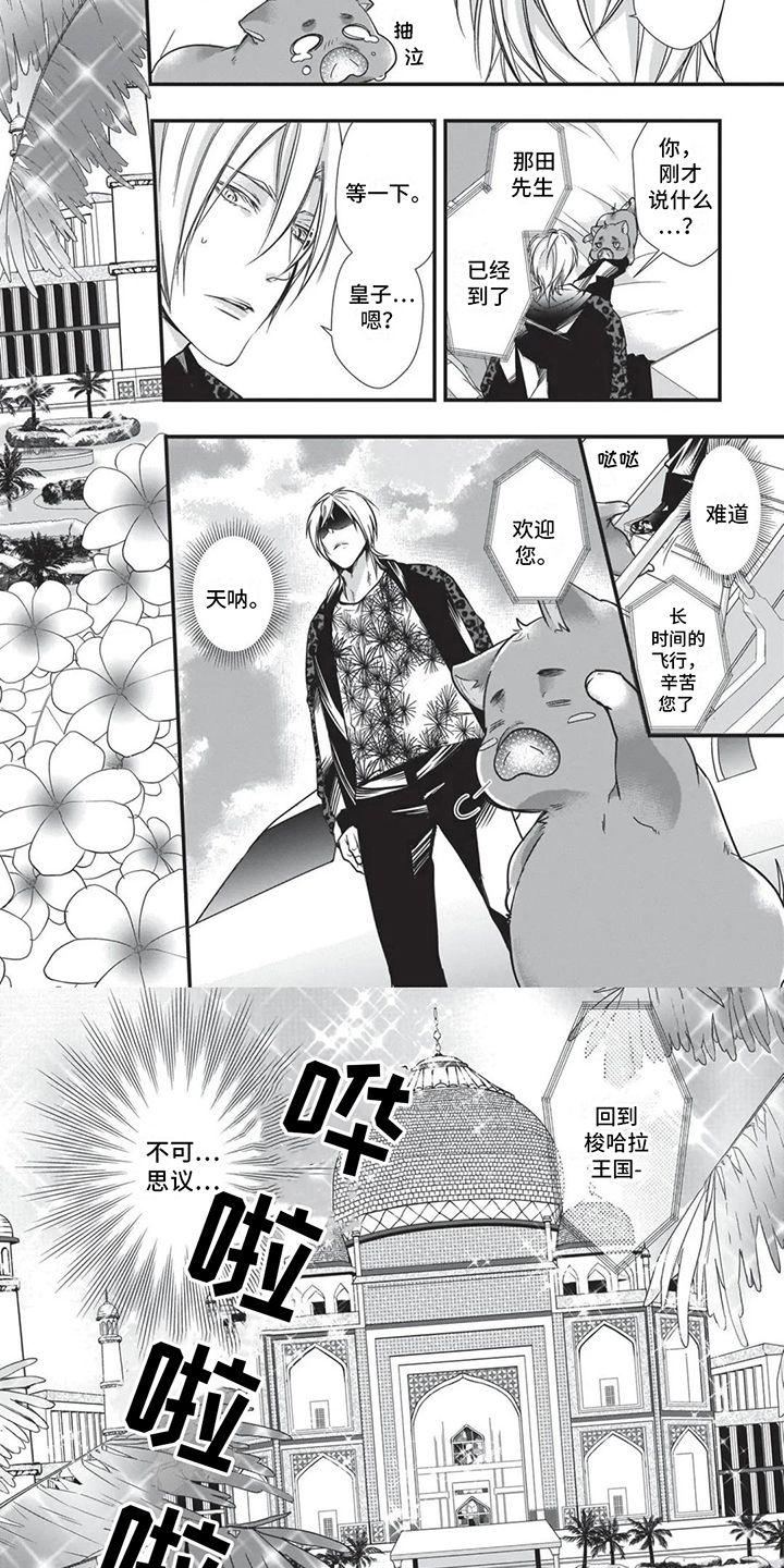 第21章：求婚5