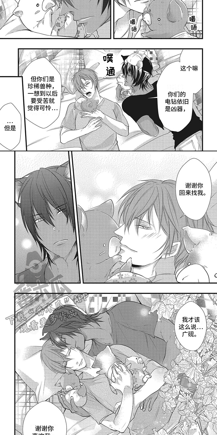 第16章：三只小猪3