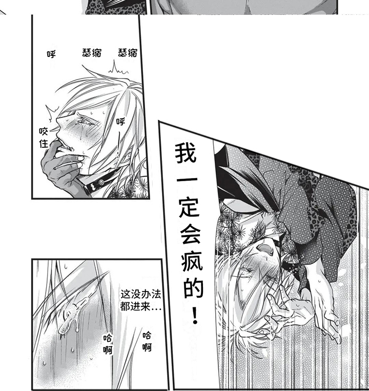 第20章：命定伴侣7