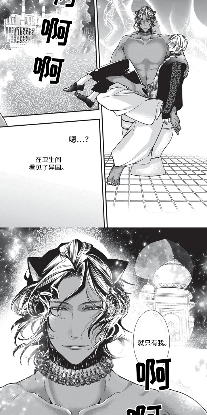 第19章：异国风情5