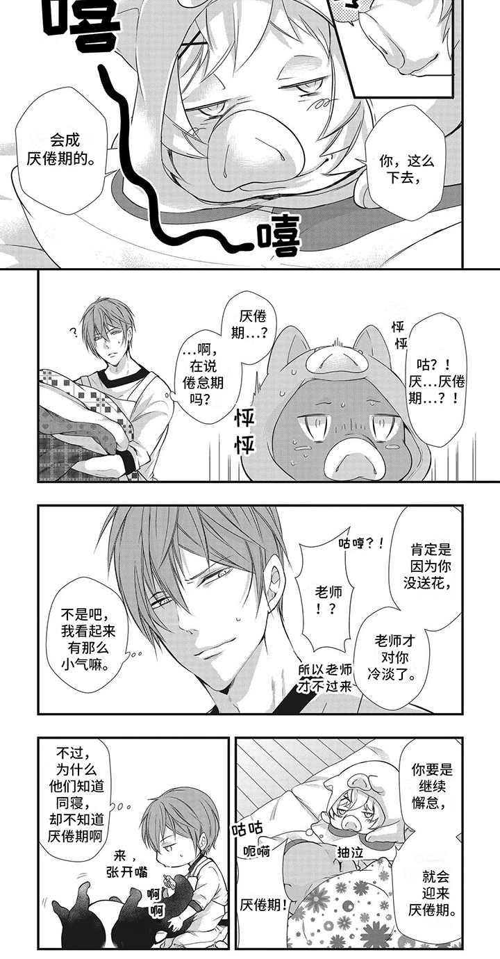 第16章：三只小猪6