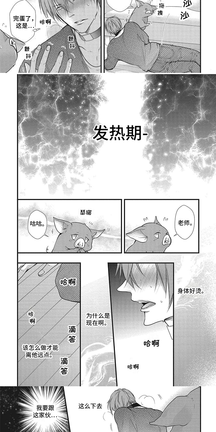 第2章：发热期2
