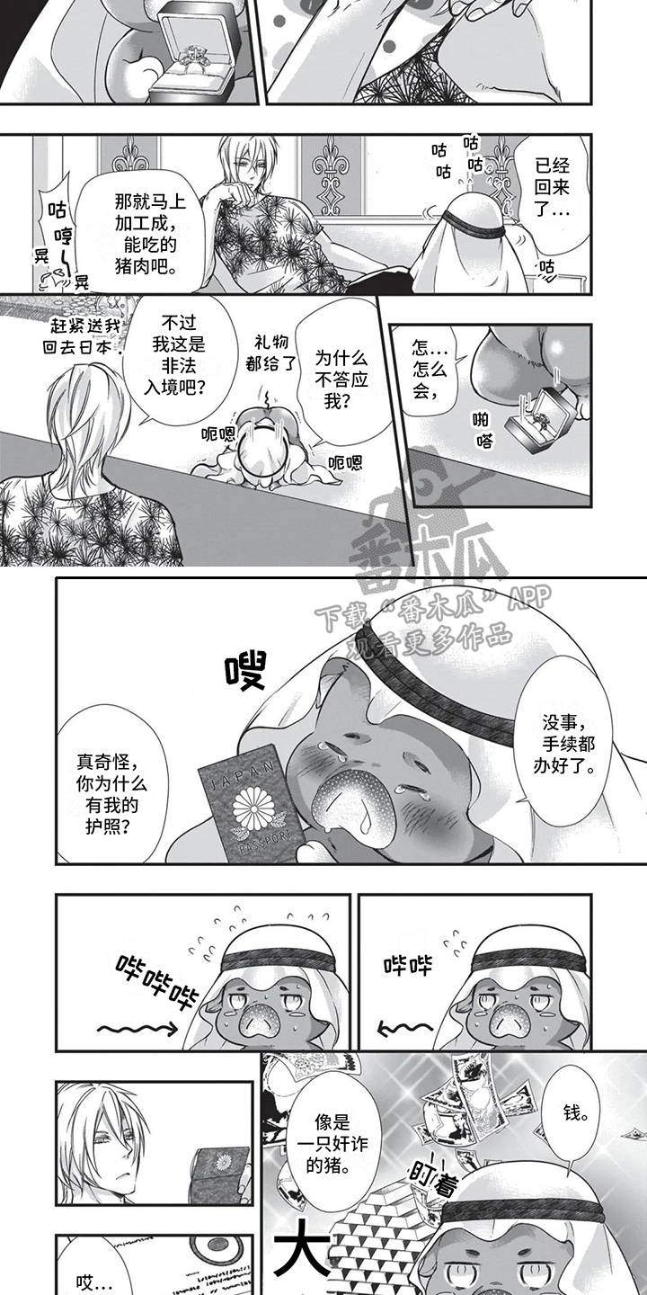 第22章：补偿3