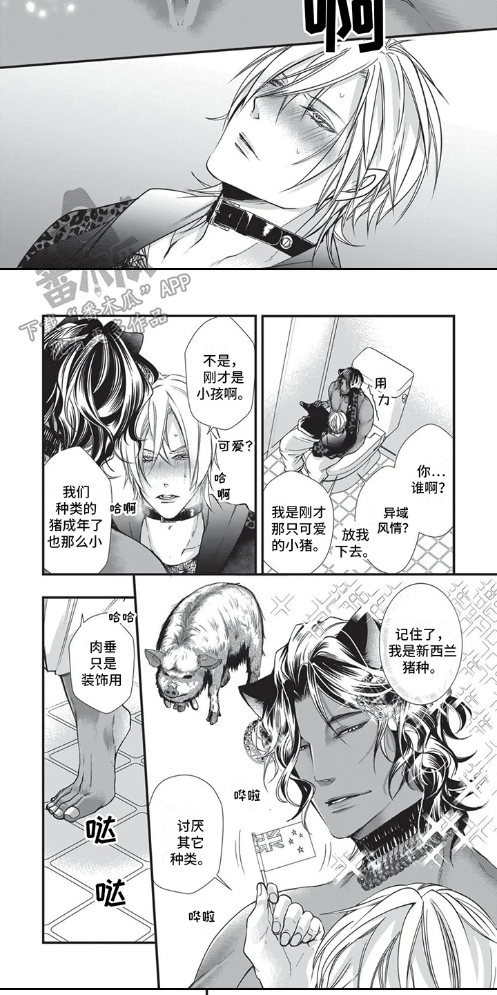 第19章：异国风情6