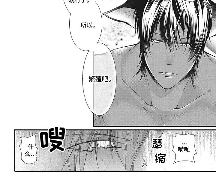 第2章：发热期6