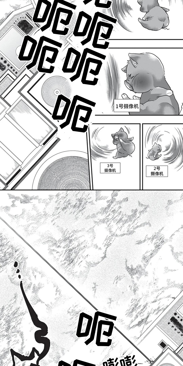 第27章：必杀技2
