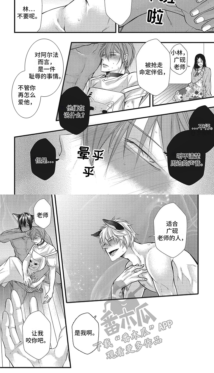 第9章：争夺6